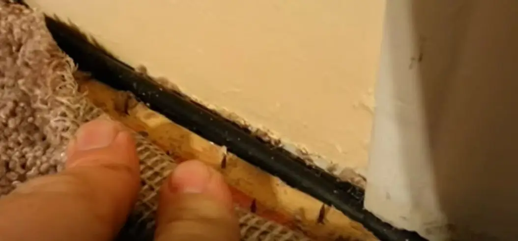 speaker wires on fish tape under carpet